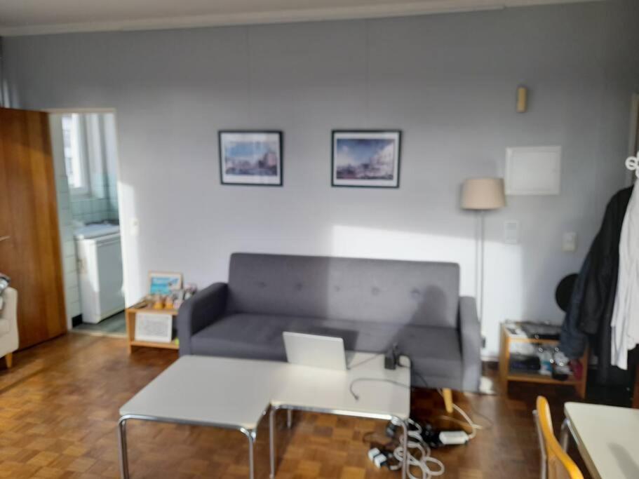 Apartament Sunny Antwerpia Zewnętrze zdjęcie
